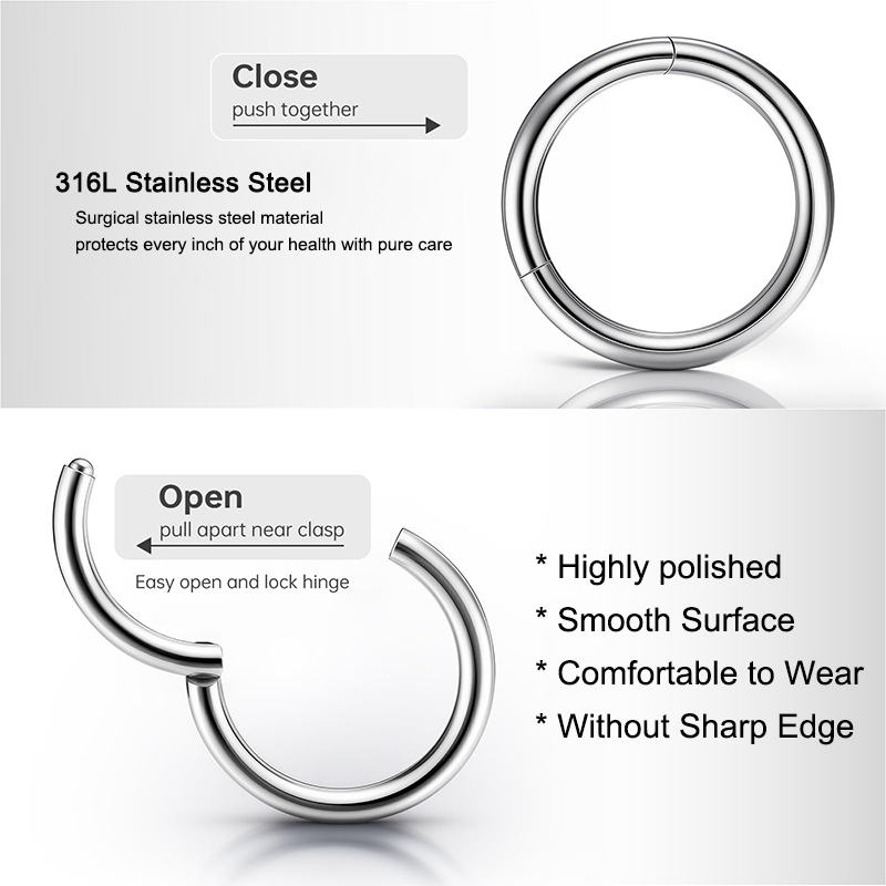 16G 316L Surgical Steel Hinged - Body Jewelry Lip Ring recension och pris