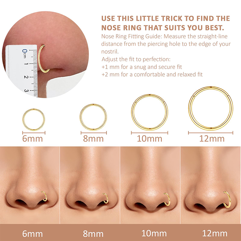 16G 316L Surgical Steel Hinged - Body Jewelry Lip Ring recension och pris