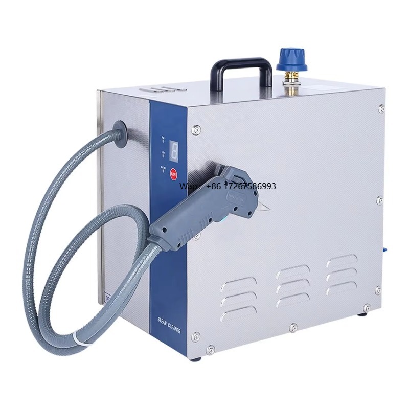 DS300-4B High Pressure Steam C - Body Jewelry Cleaner recension och pris